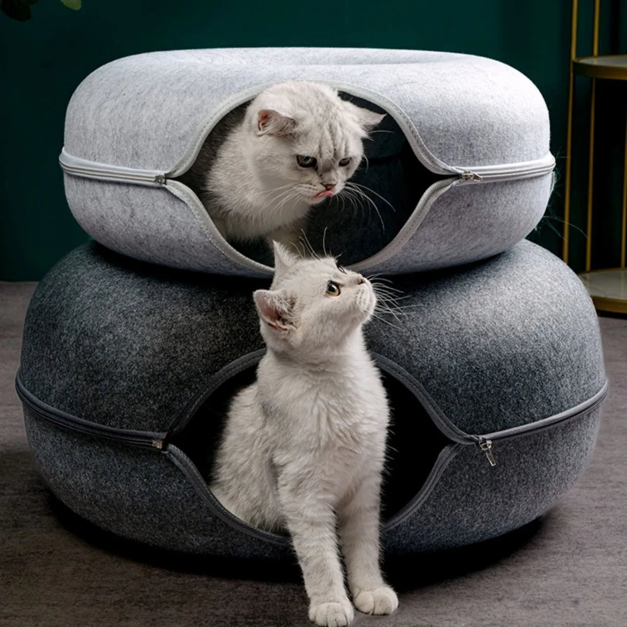 PurrNest - Cat Donut Bed & Tunnel