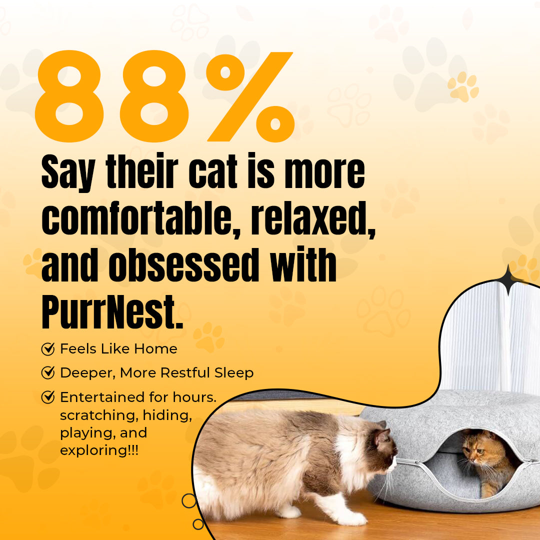 PurrNest - Cat Donut Bed & Tunnel