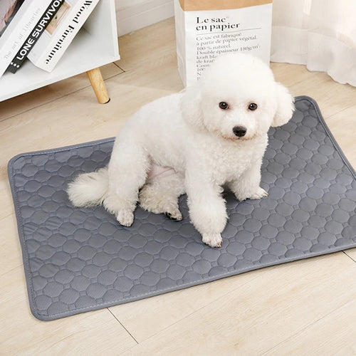 PetGuard - Washable Pee Pad