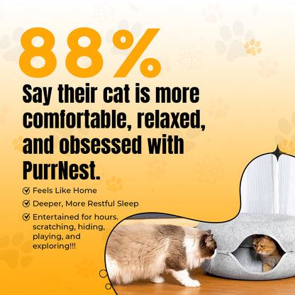 PurrNest - Cat Donut Bed & Tunnel
